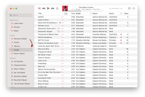 How to Tell How Many Songs You Have on Apple Music: A Compendium of Views